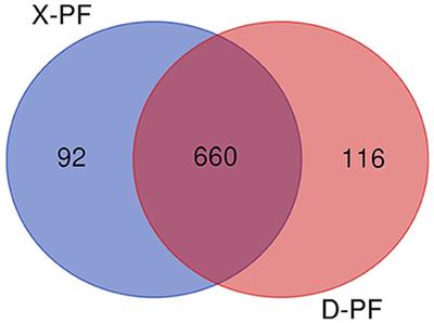 Genome-Wide Analysis of microRNAs Identifies the Lipid Metabolism Pathway to Be a Defining Factor in Adipose Tissue From Different Sheep